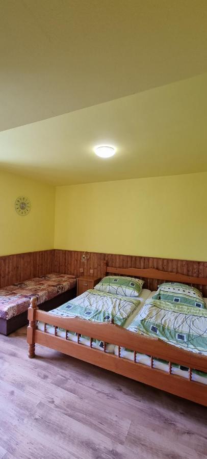 Pension Pod Lipou Nova Ves v Horach Exterior photo