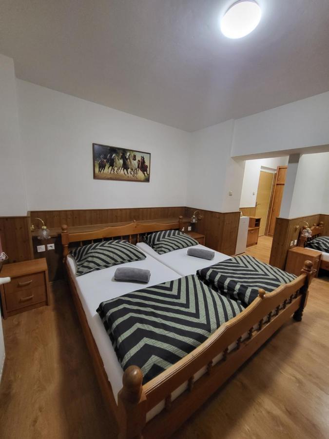 Pension Pod Lipou Nova Ves v Horach Exterior photo