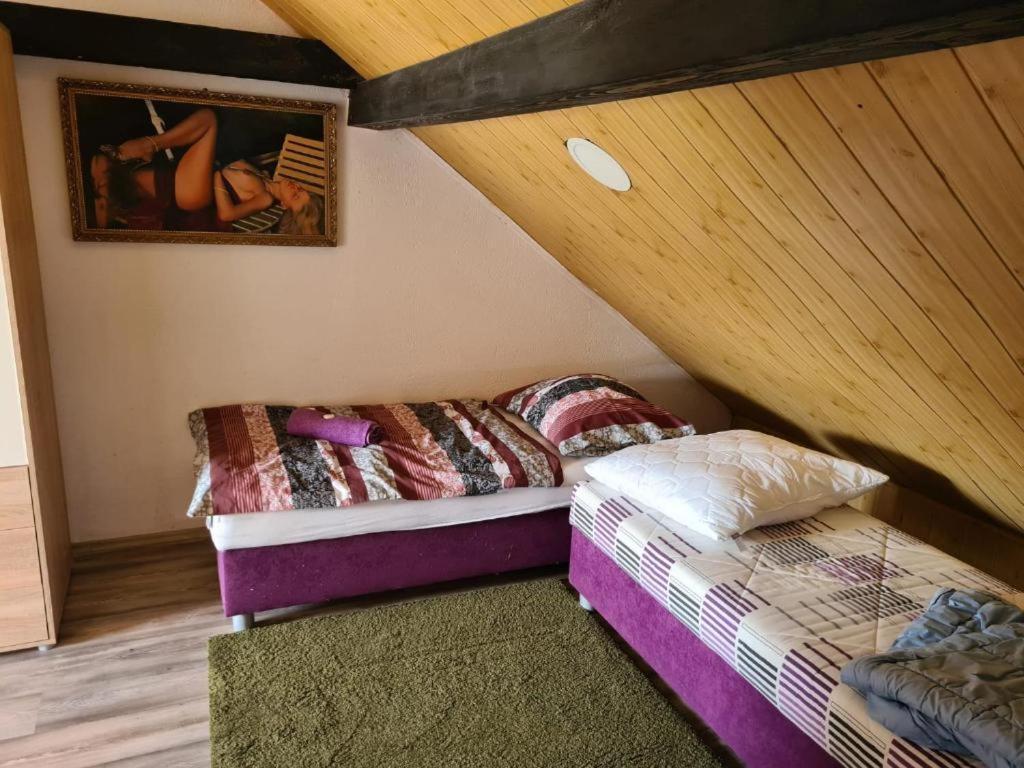 Pension Pod Lipou Nova Ves v Horach Exterior photo